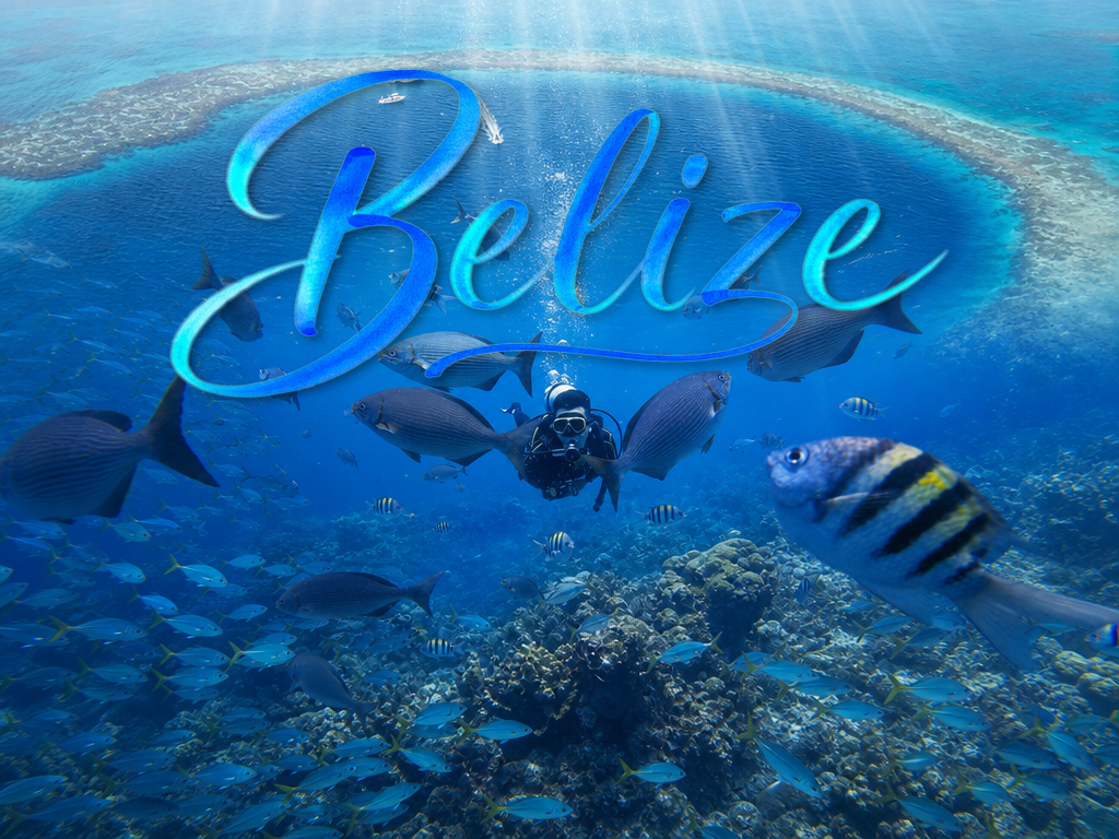 DIVEVOLK × vivo X Fold6 Belize Great Blue Hole