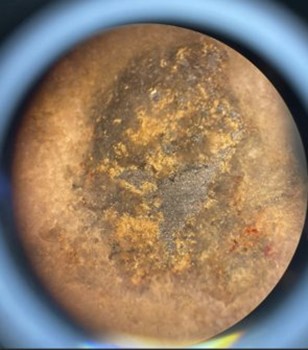 Photos of visible gold in TRXU-DD-23-026 (field of view 1 cm diameter with hand lens)