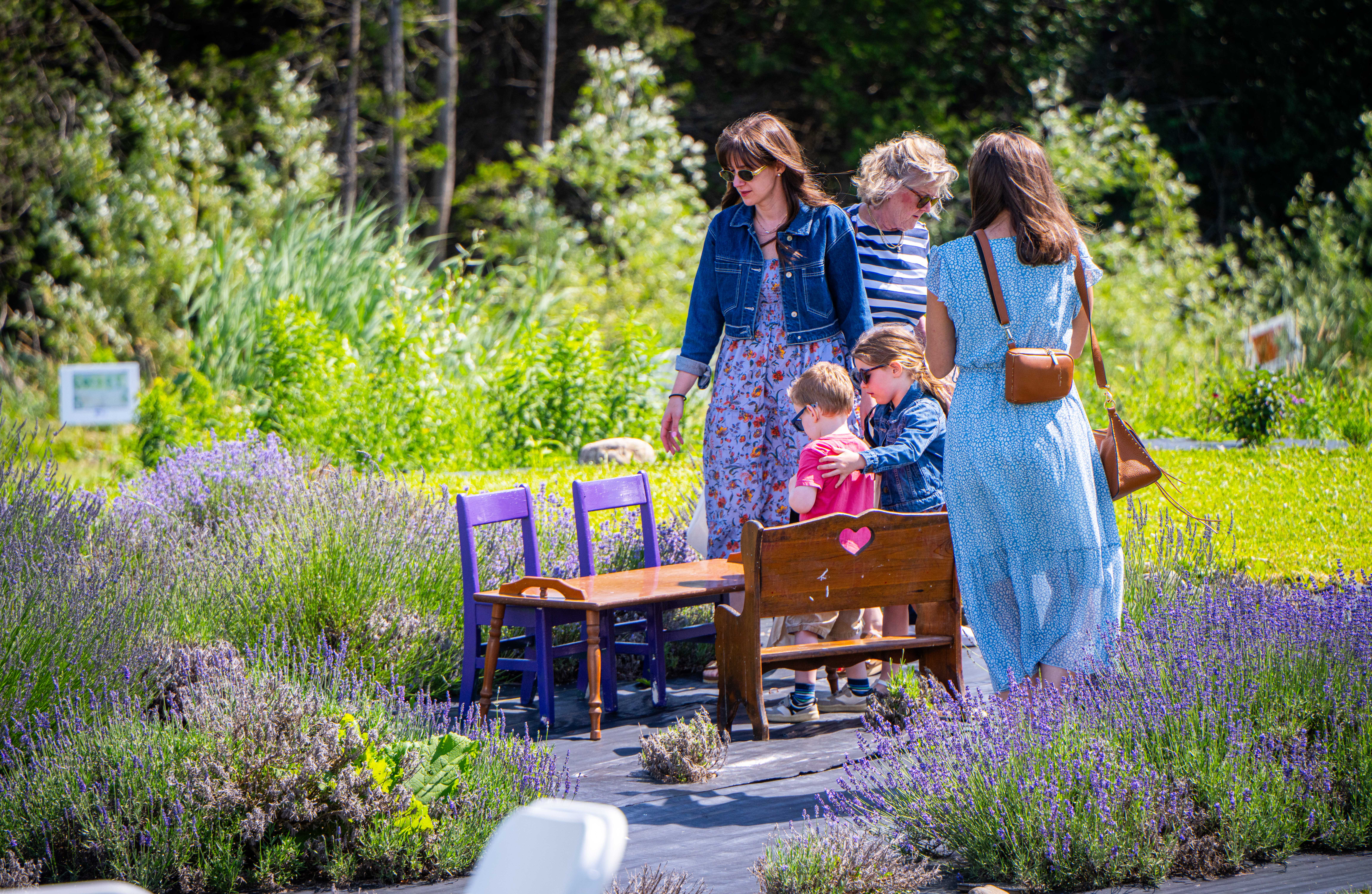children and adults standing in picturesque lavender field