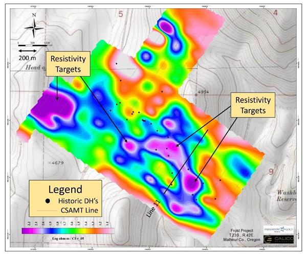 Frost plan map showing CSAMT resistivity targets (purple zones)