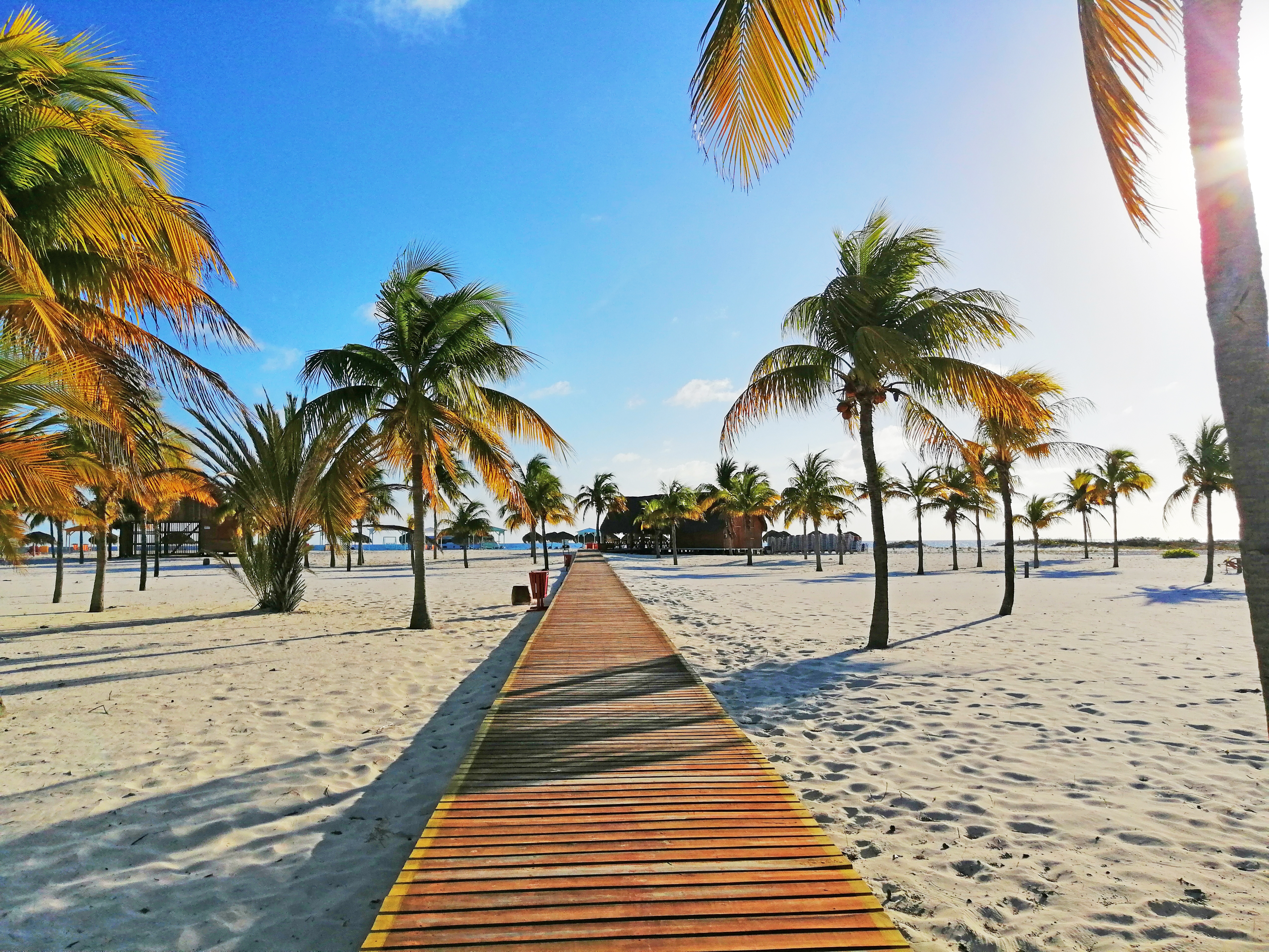 Cayo Largo beach with palm trees and wooden pathway