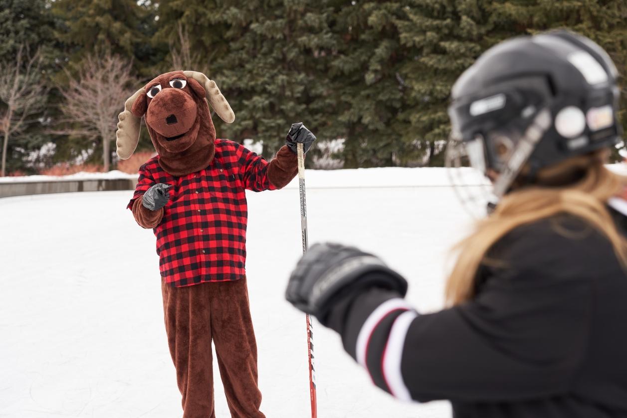 Une plongée dans le monde du domaine .CA au 4e trimester 2021