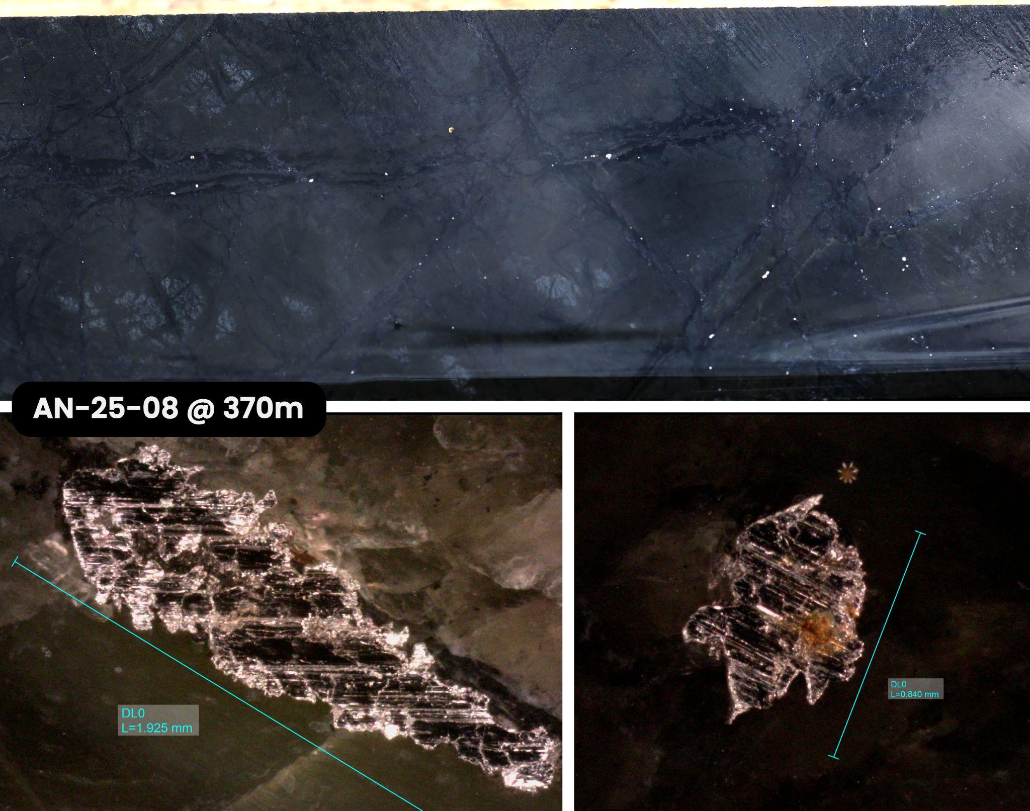 Figure 3 image