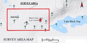 Image 1: Black Dog Lake Property Survey Area Map