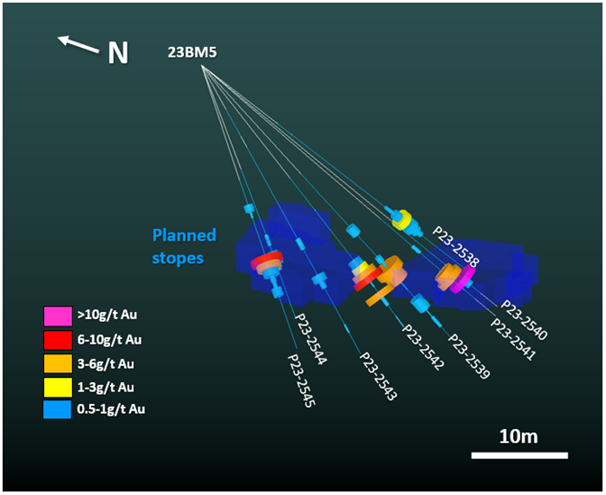 3D-cross section of drill holes from pad 23BM5. High-grade gold was intercepted in between two stope shapes in holes P23-2543 (1 metre grading 10 g/t gold) and P23-2539, suggesting the potential for the stope shapes to expand and be connected.