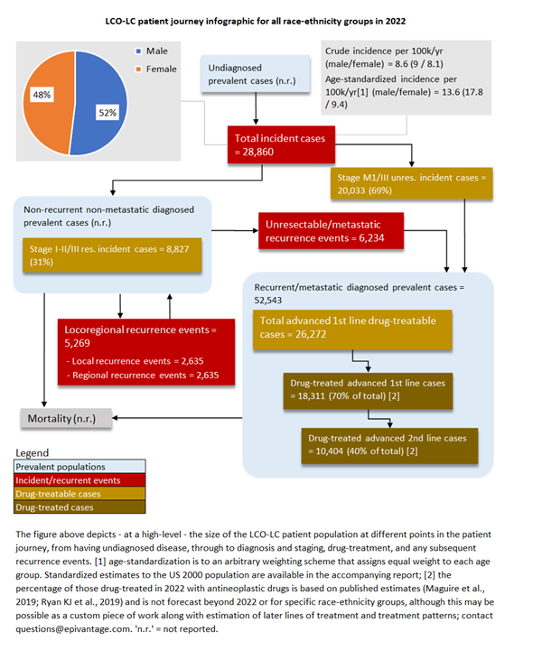 Large-Cell and Other Lung Cancer in the United States: Patient Journey Infographic for All Race/Ethnicity Groups in 2022