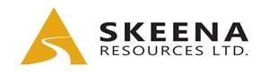 Skeen - Logo.jpg