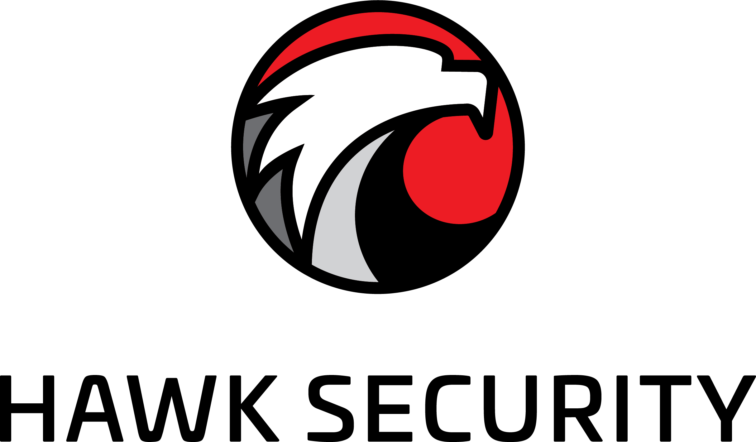 HAWK-SECURITY-logo-03.png