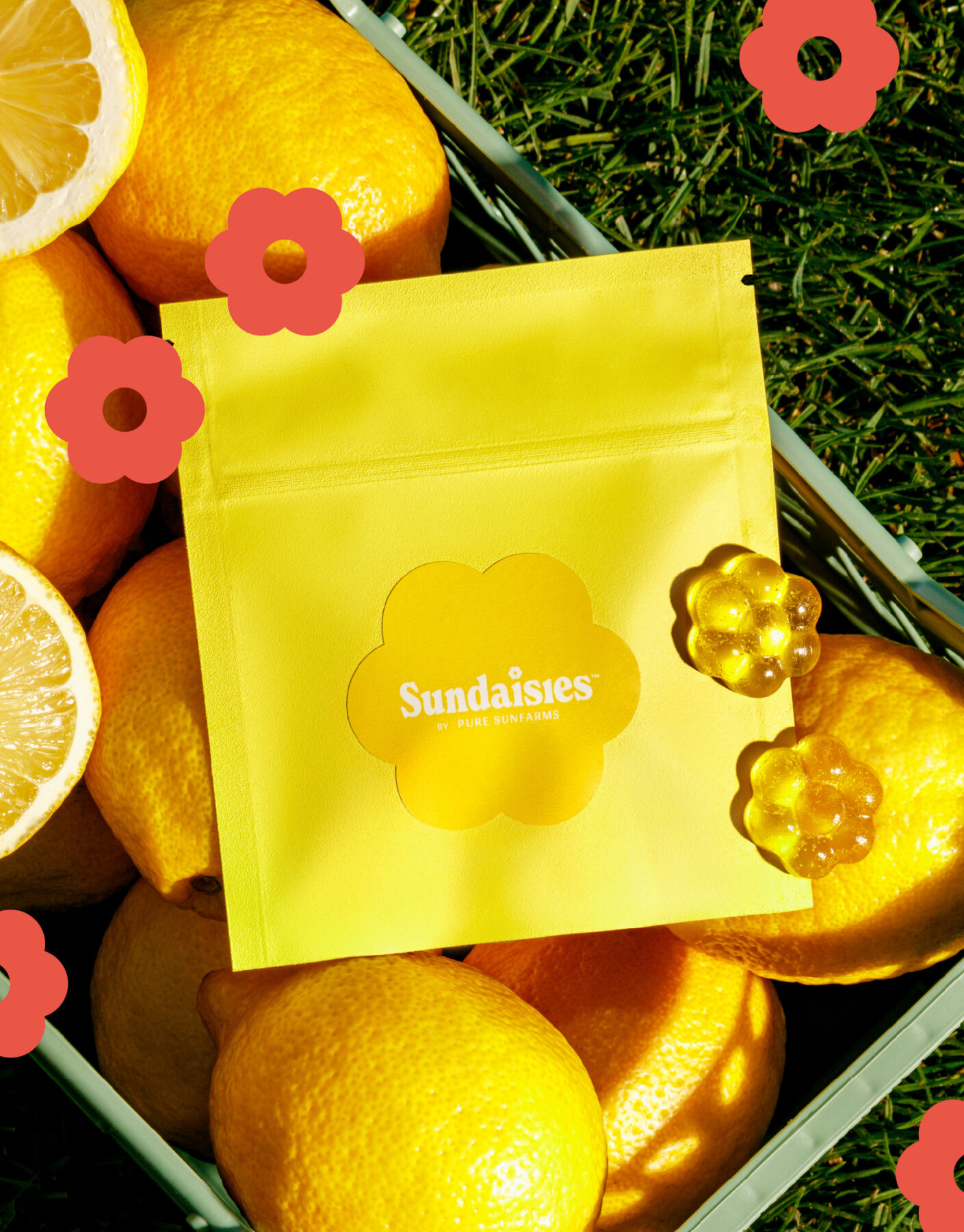 Sundaisies by Pure Sunfarms Packaging