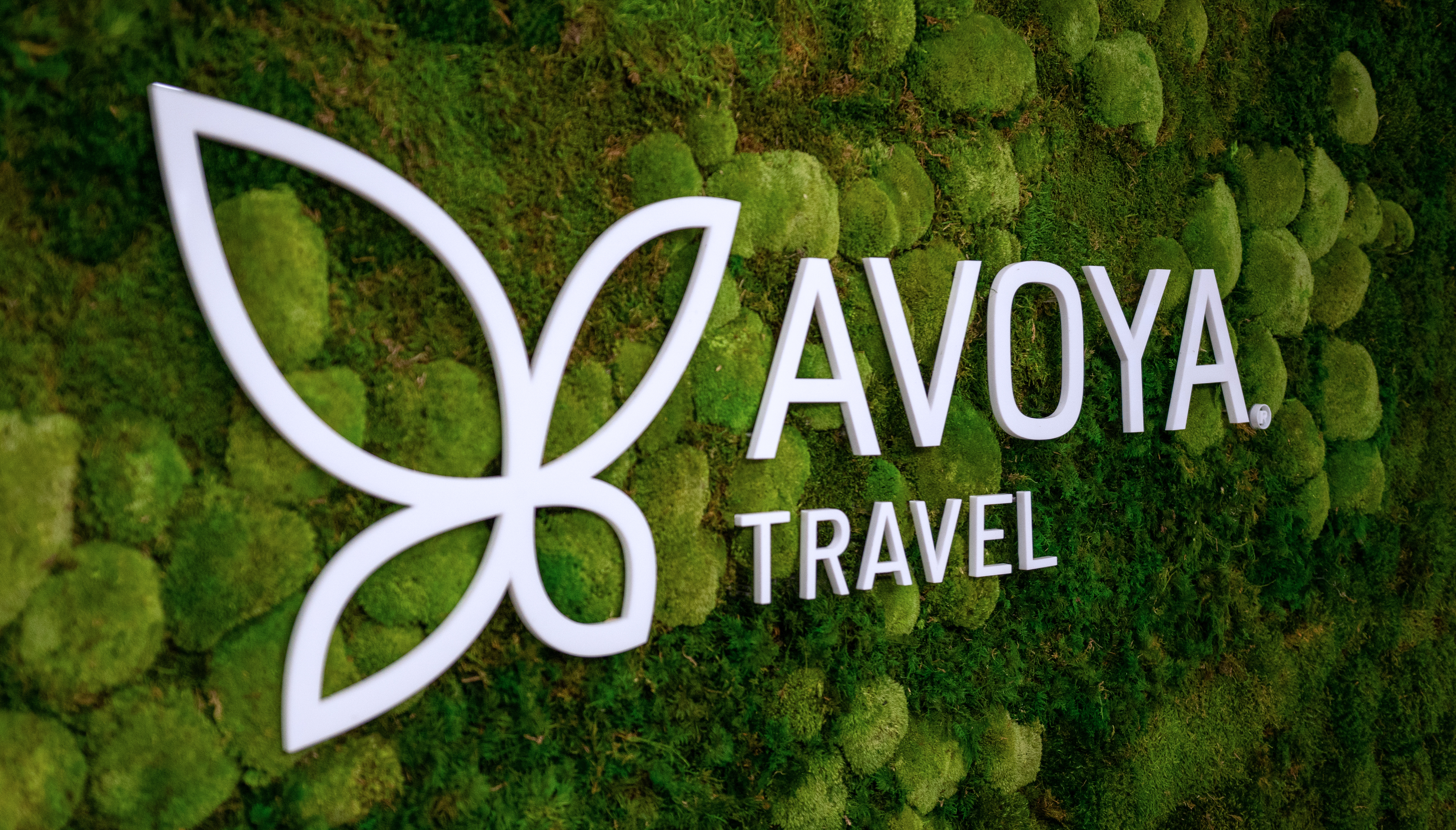 Avoya Innovation Center Living Wall