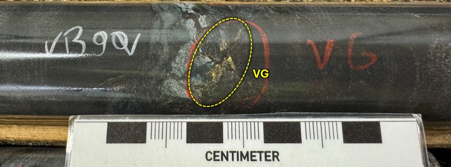 13-4727-013_vg 