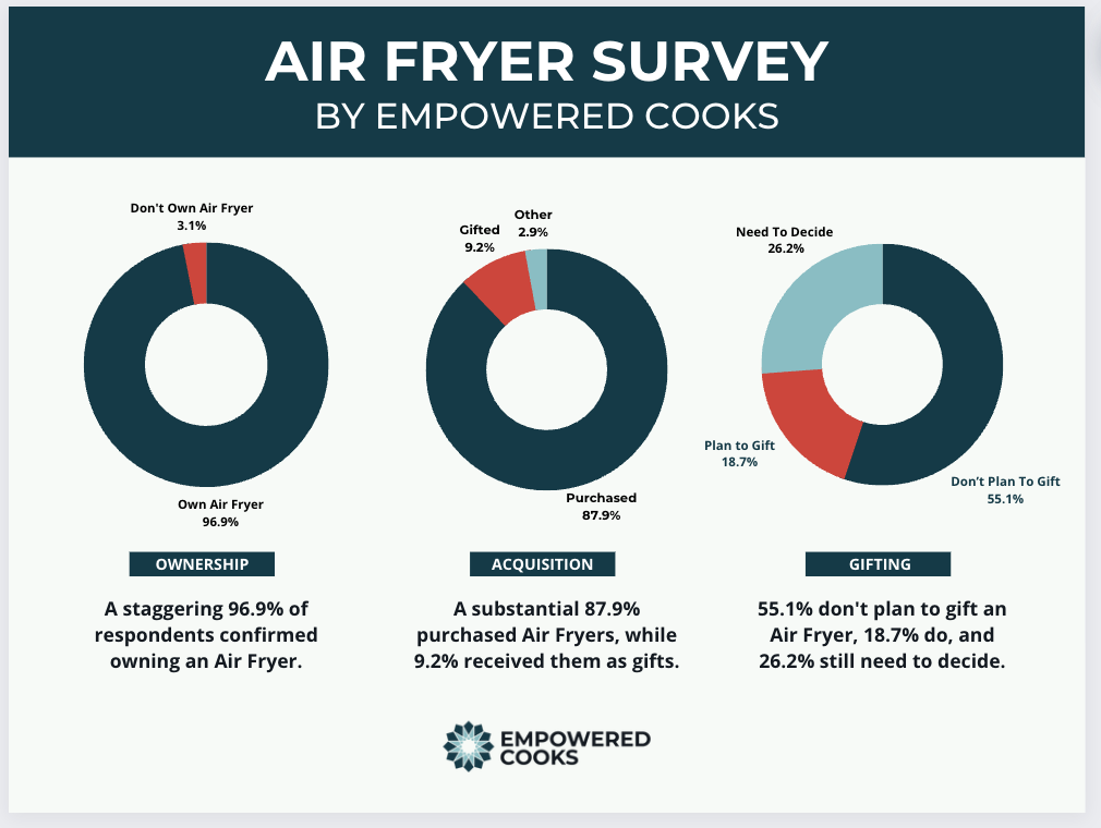 Air Fryer Survey infographic