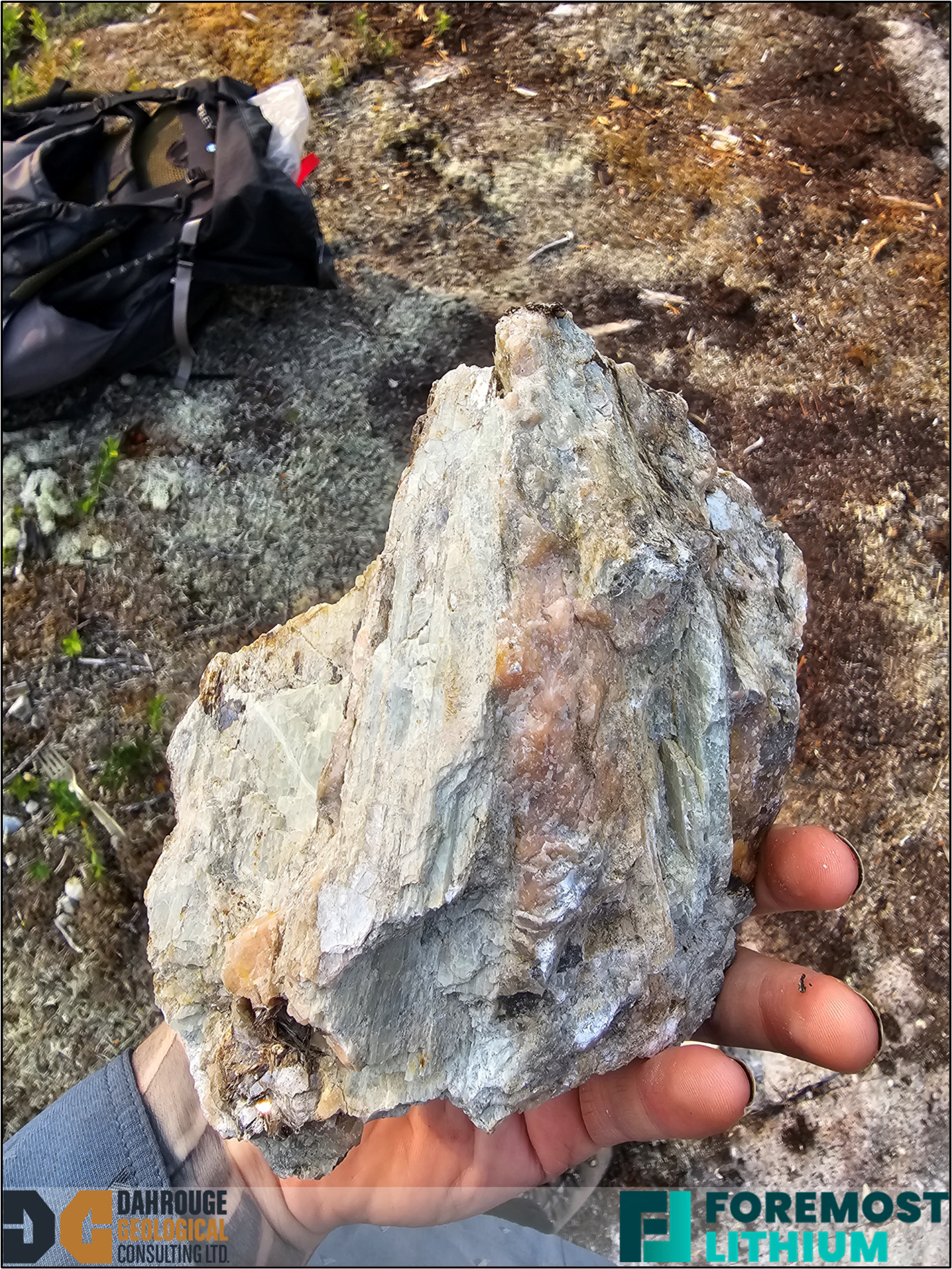 Large spodumene crystals found in outcrop at the B1 pegmatite; Sample 153026
