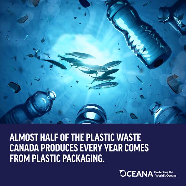 Oceana Plastic Report Social V.2_IG 4