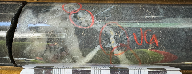 Figure 4. Visible gold showings in hole MM25D-11-4420-026. image