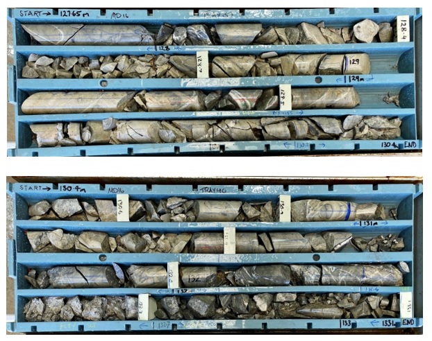 Figure 3. MD16 (127.65 m – 133.1 m). Leven Star Reef intersection in fresh sulphide material (14.0 m @ 6.15 g/t Au from 120 m, including 7.60 m @ 6.66 g/t Au from 121.9 m and 3.0 m @ 11.06 g/t Au from 131 m).