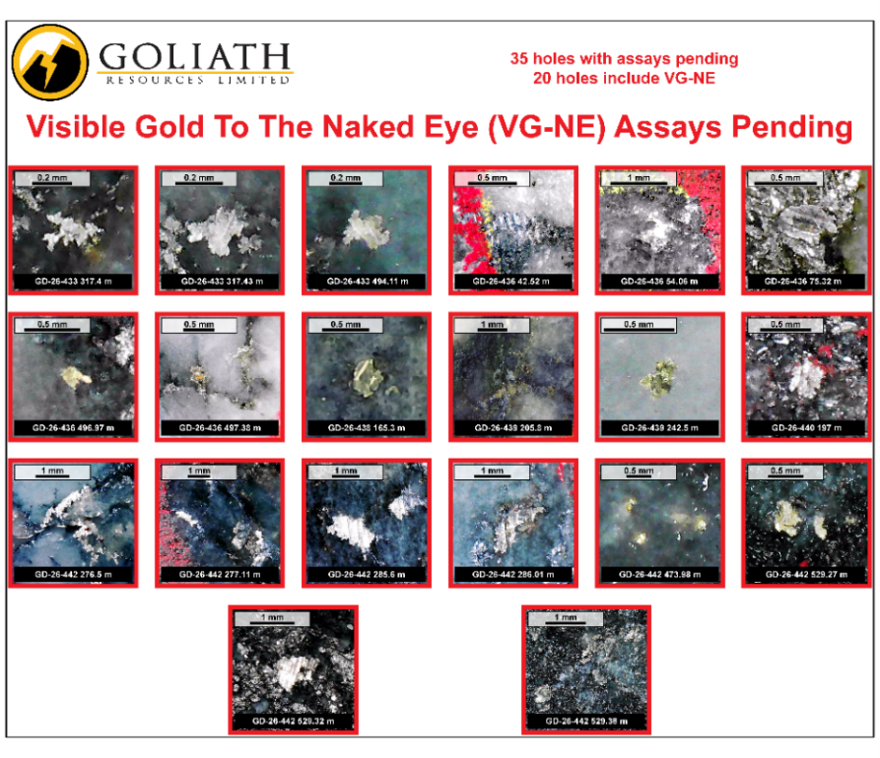 Goliath Resources Limited