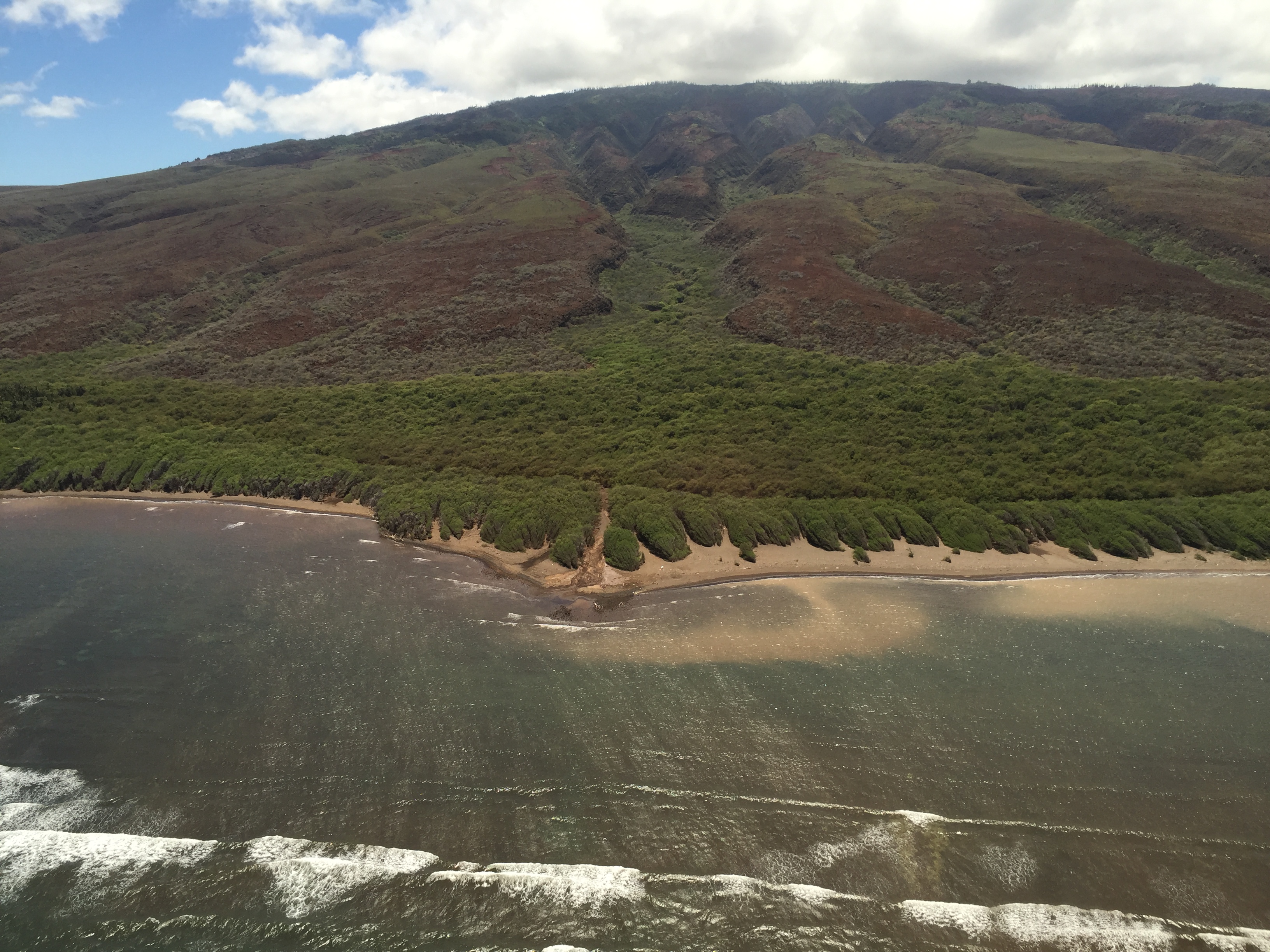 Keōmoku shoreline | Credit: Pūlama Lānaʻi 