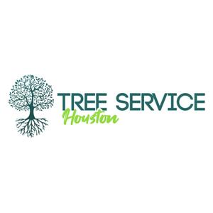Tree Service North Shore Auckland