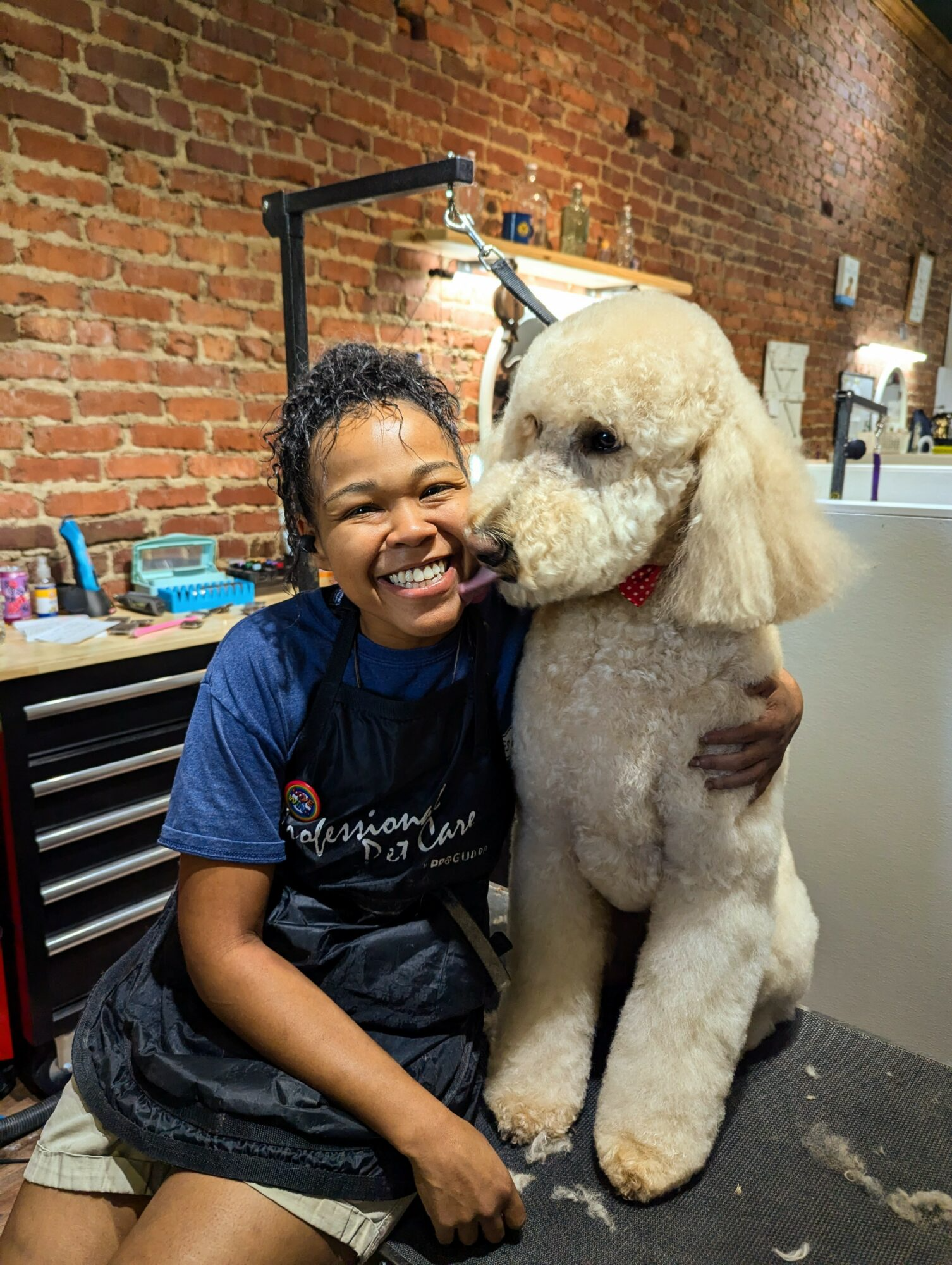 Pet Grooming Expert Kimberly Hicks Gives Advice on Dog Grooming in HelloNation