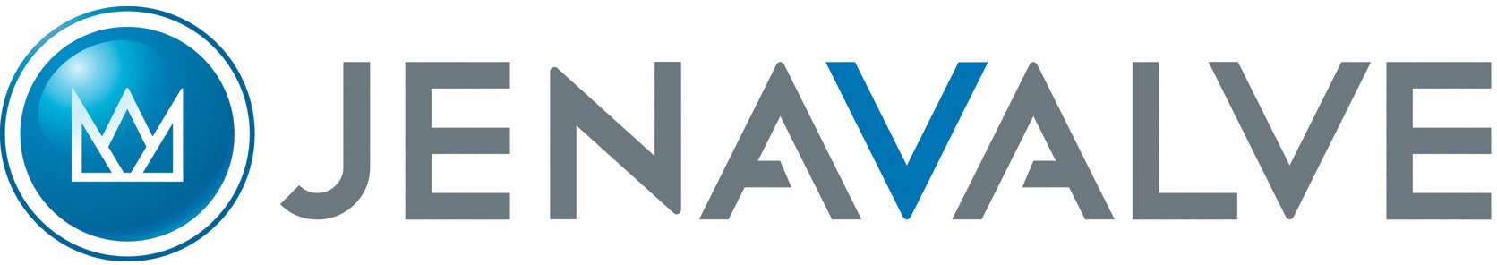 JenaValve Logo.jpg