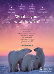 Be Part of Making Wildlife Wishes Come True - donate by December 31 to get your 2022 tax receipt. 