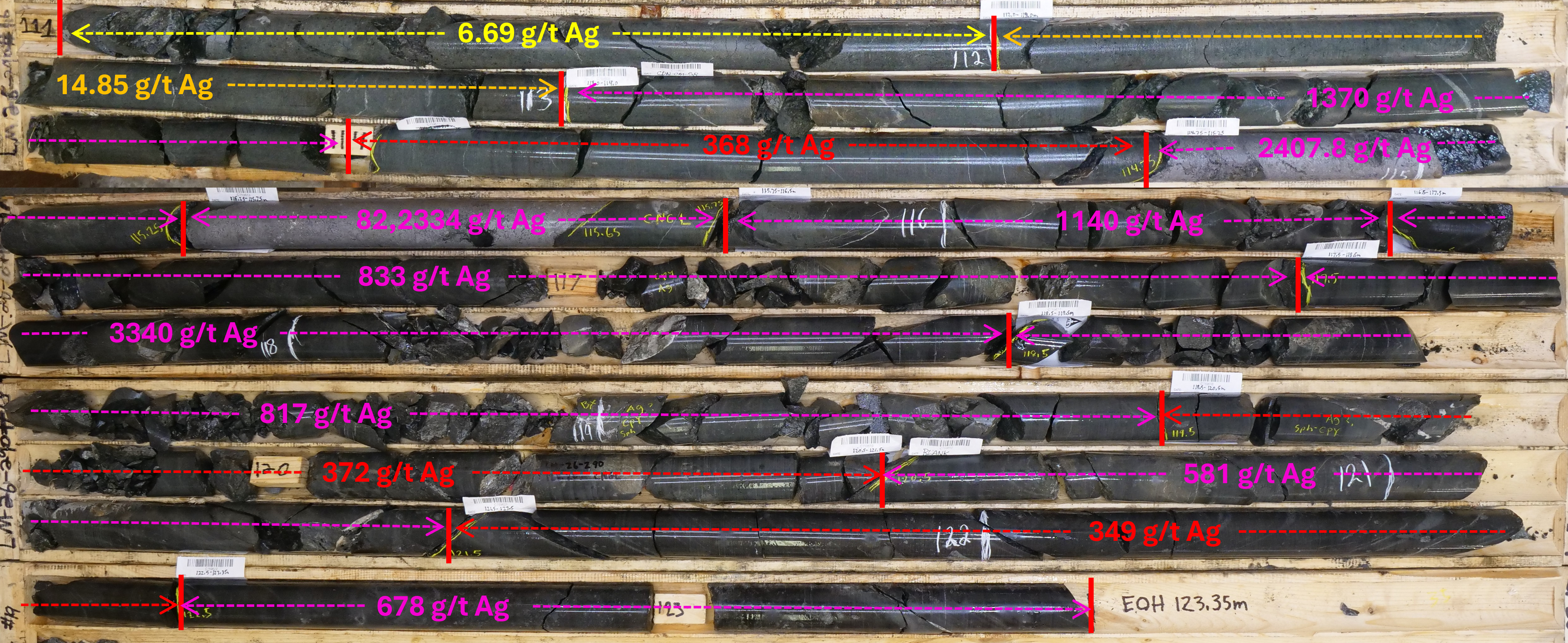 Figure 7 image