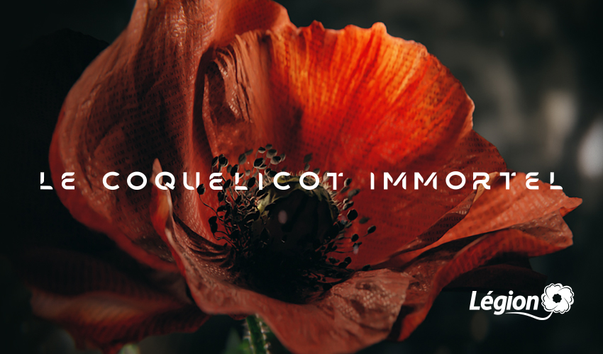 Immortal Poppy 2021 FR_larger
