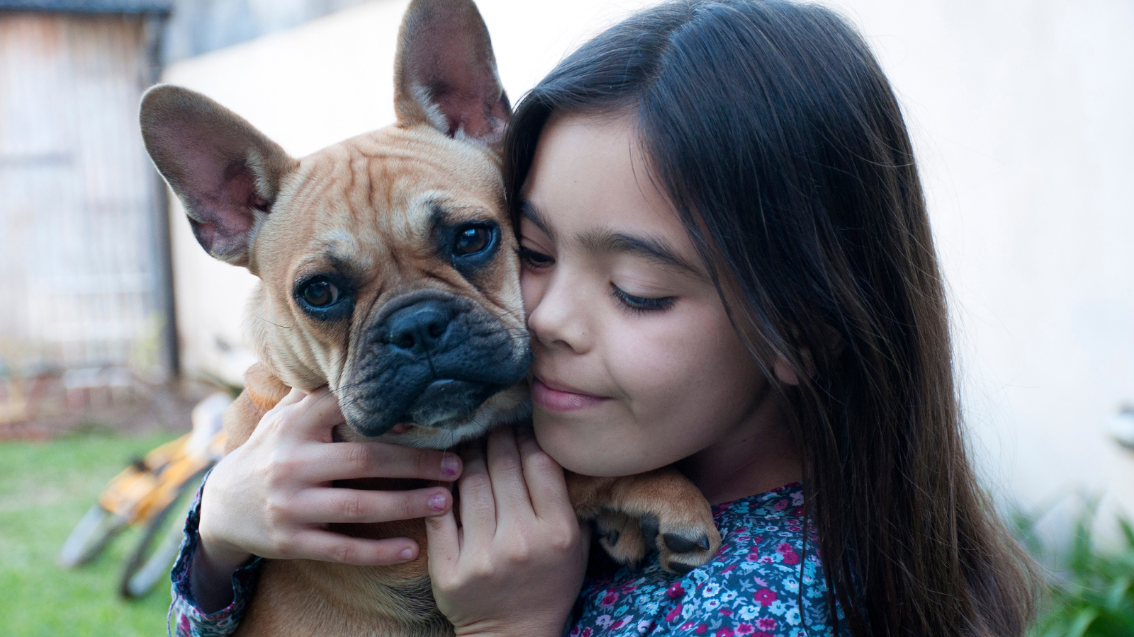 “La Semana de ser Bondasos con los Animales” es el momento perfecto para comenzar a enseñar compasión a los niños