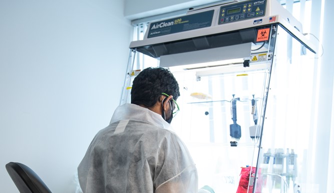 GreenLight is researching RNA solutions at its human health lab in Woburn, MA