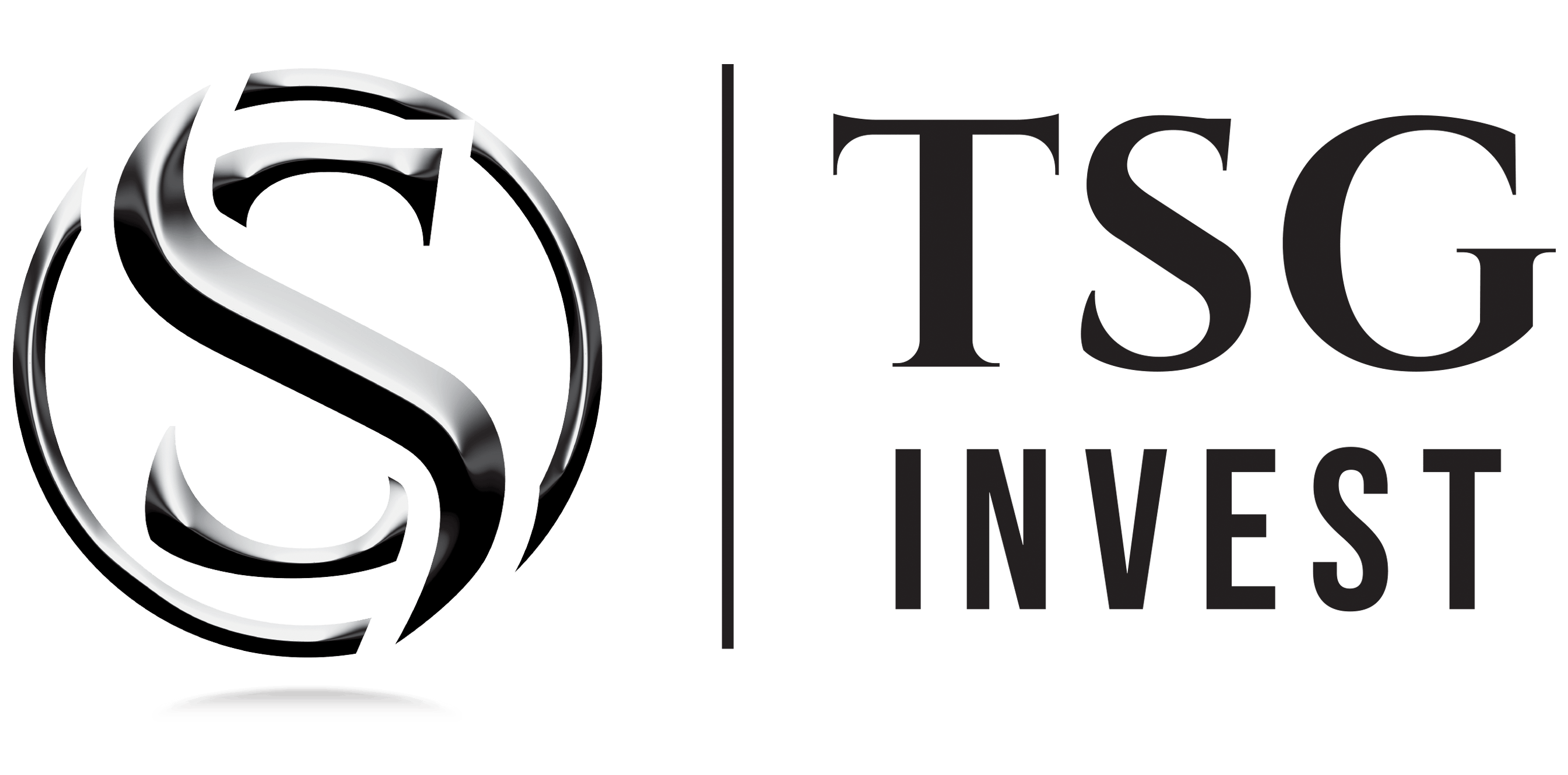 TSG-INVEST-LOGO-2024-RGB (1).png