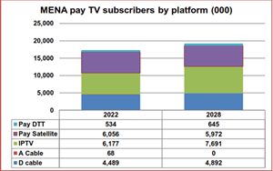 MENA pay TV subscribers by platform
