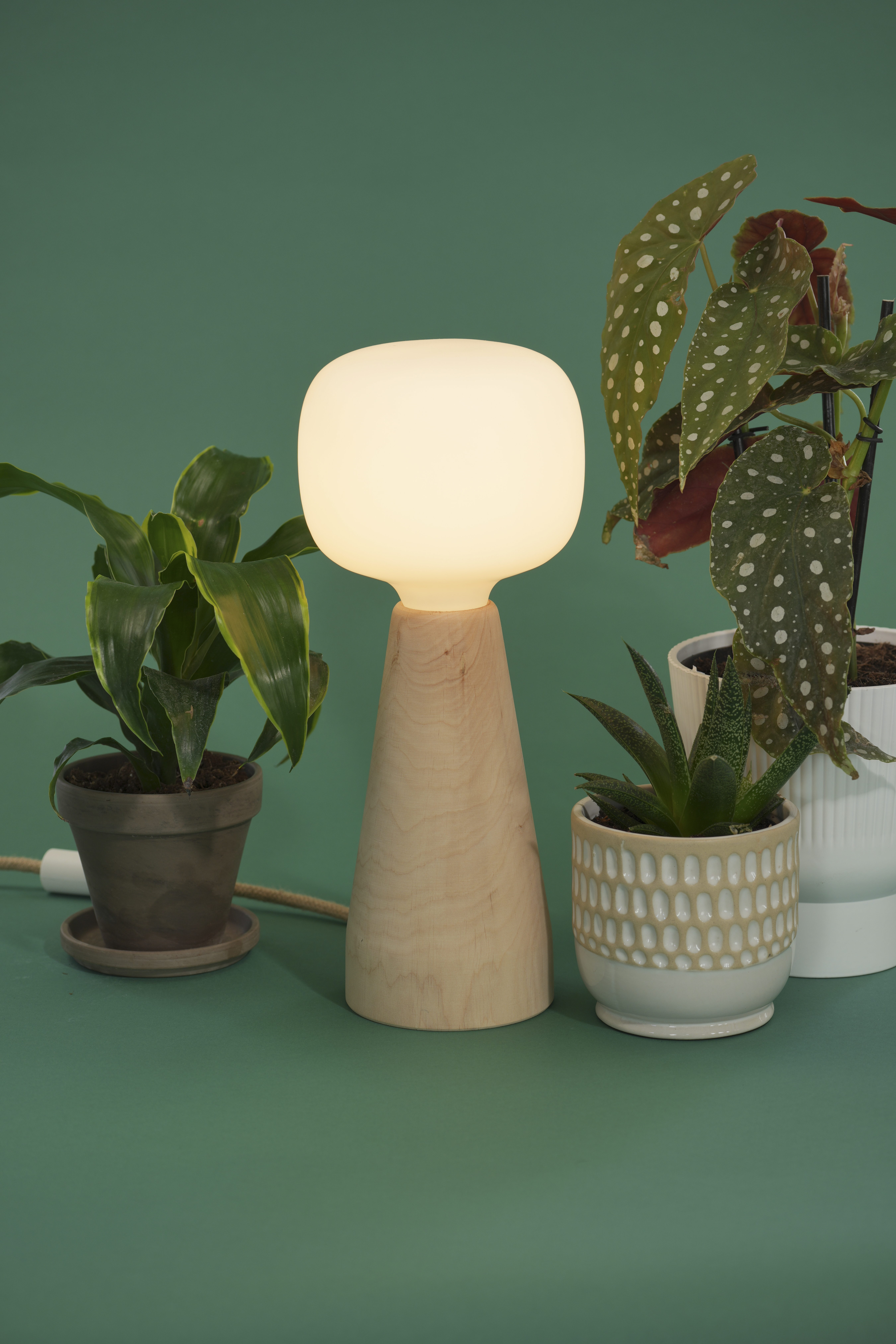 Aura Ambient Grow Light in Natural