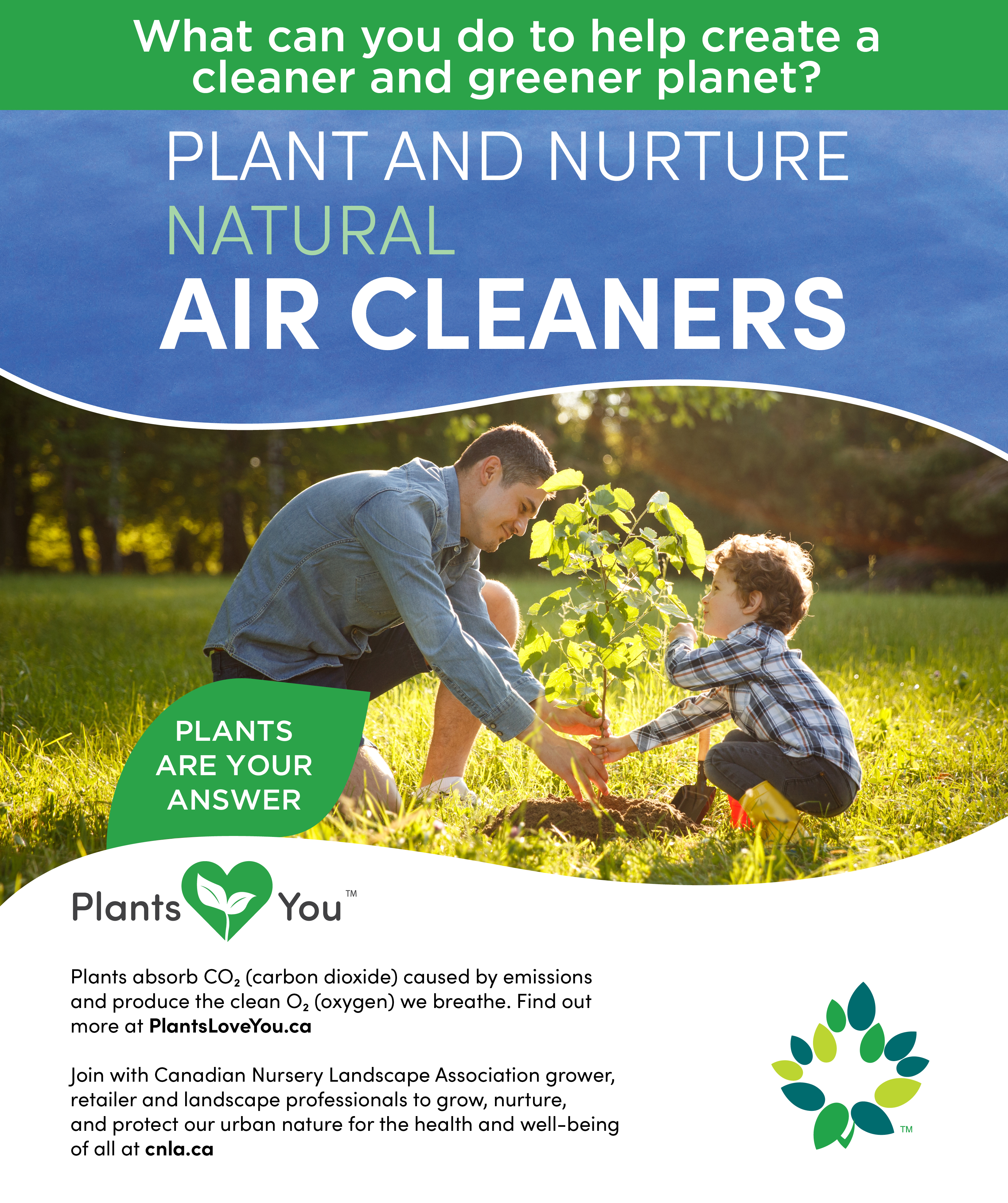 Plant & Nurture Natural Air Cleaners