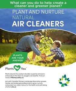 Plant & Nurture Natural Air Cleaners