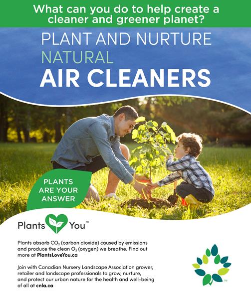 Plant & Nurture Natural Air Cleaners