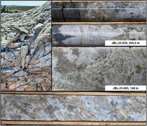Spodumene observed both in outcrop and drill core