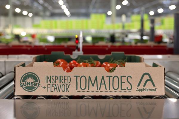 Tomatoes from AppHarvest Morehead and AppHarvest Richmond farms. AppHarvest sold almost $11 million in tomatoes in Q1 2023.