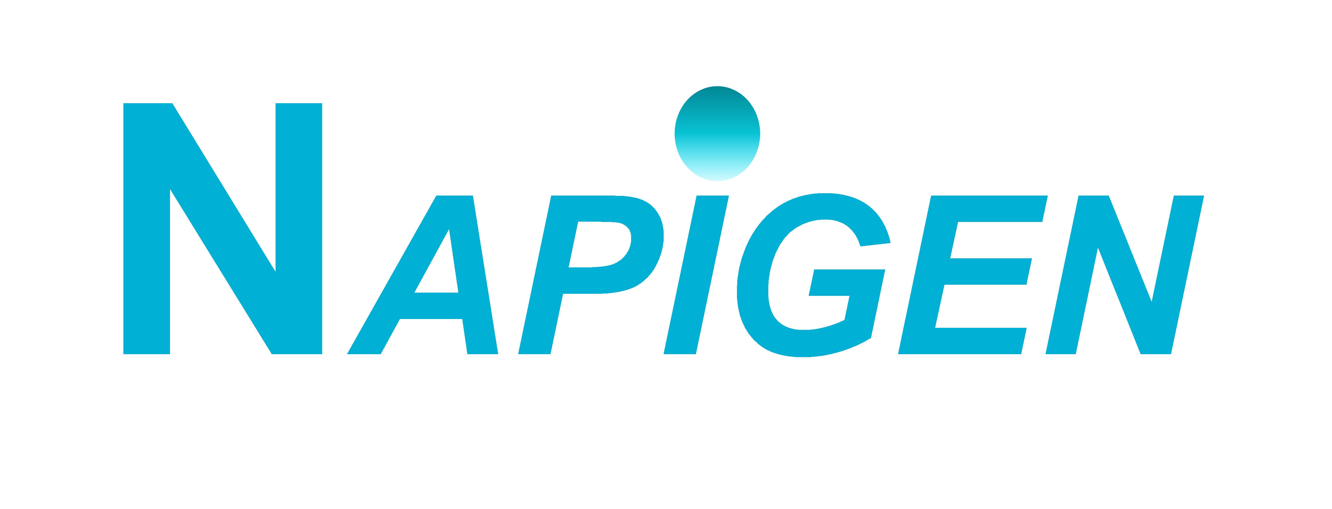 Napigen logo-full.jpg