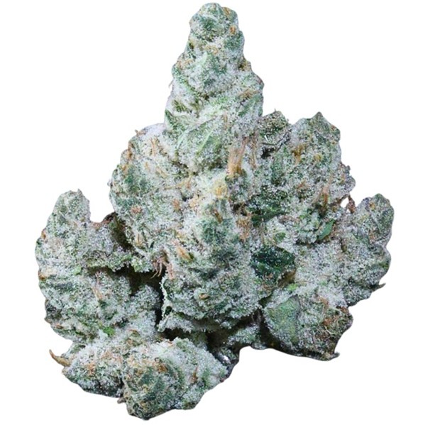 Sherlocks Glass & Dispensary