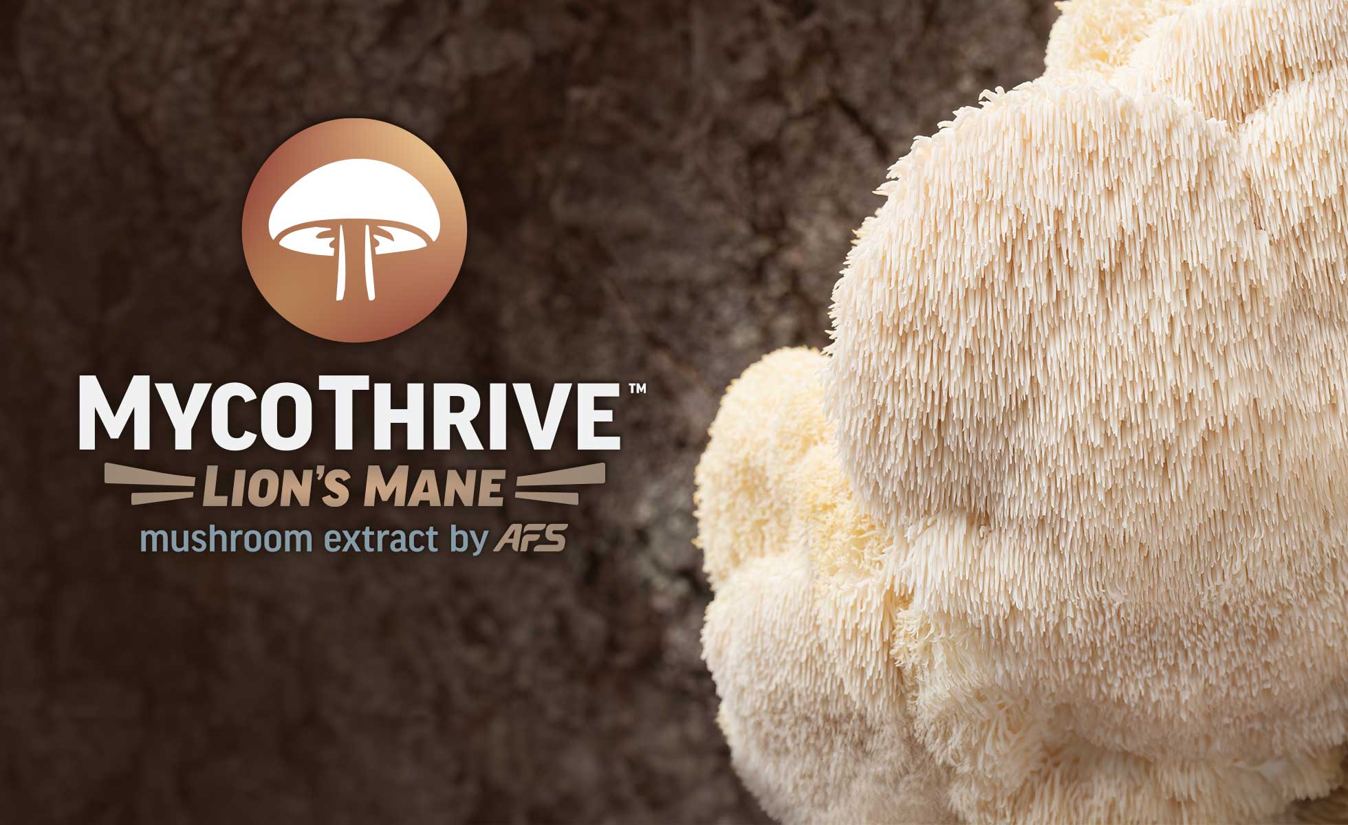 MycoThrive™ Lion's Mane by AFS