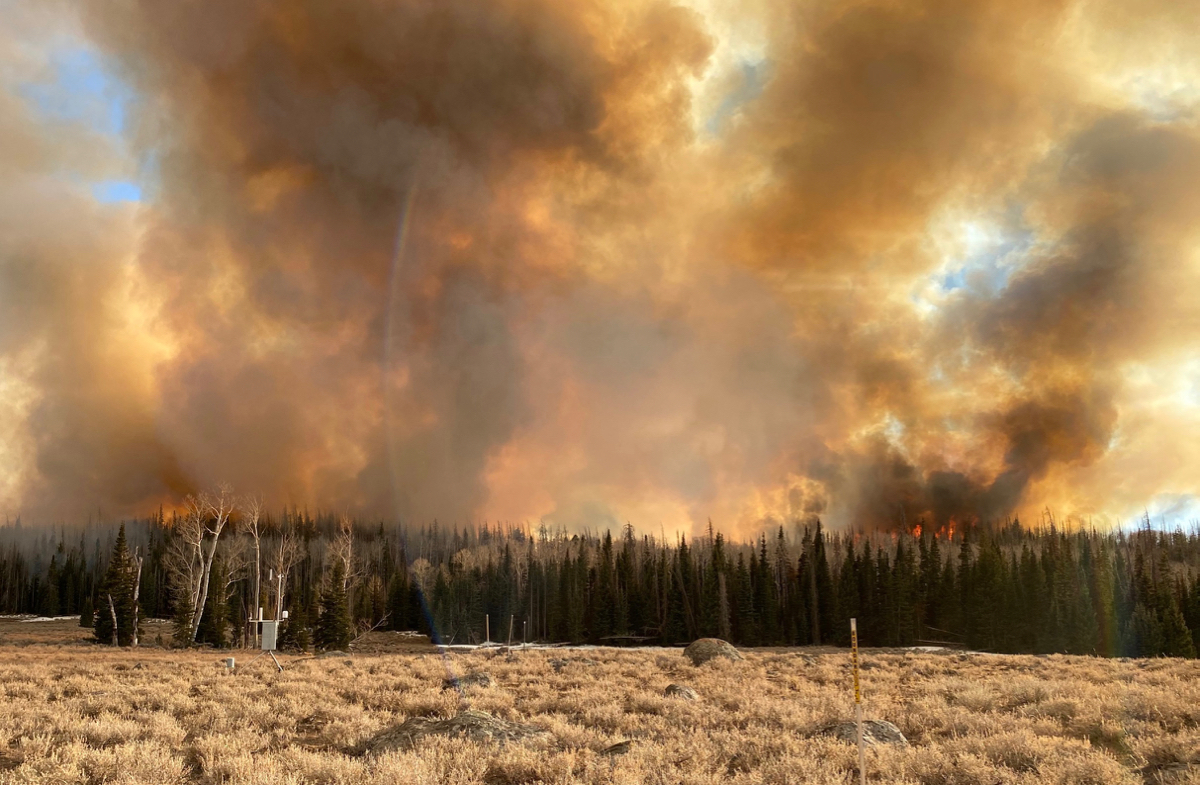 Wildfire smoke may greatly increase susceptibility to SARS-CoV-2, the virus that causes COVID-19, according to new research from the Center for Genomic Medicine at the Desert Research Institute, Washoe County Health District, and Renown Health in Reno, Nev. Credit: Desert Research Institute.