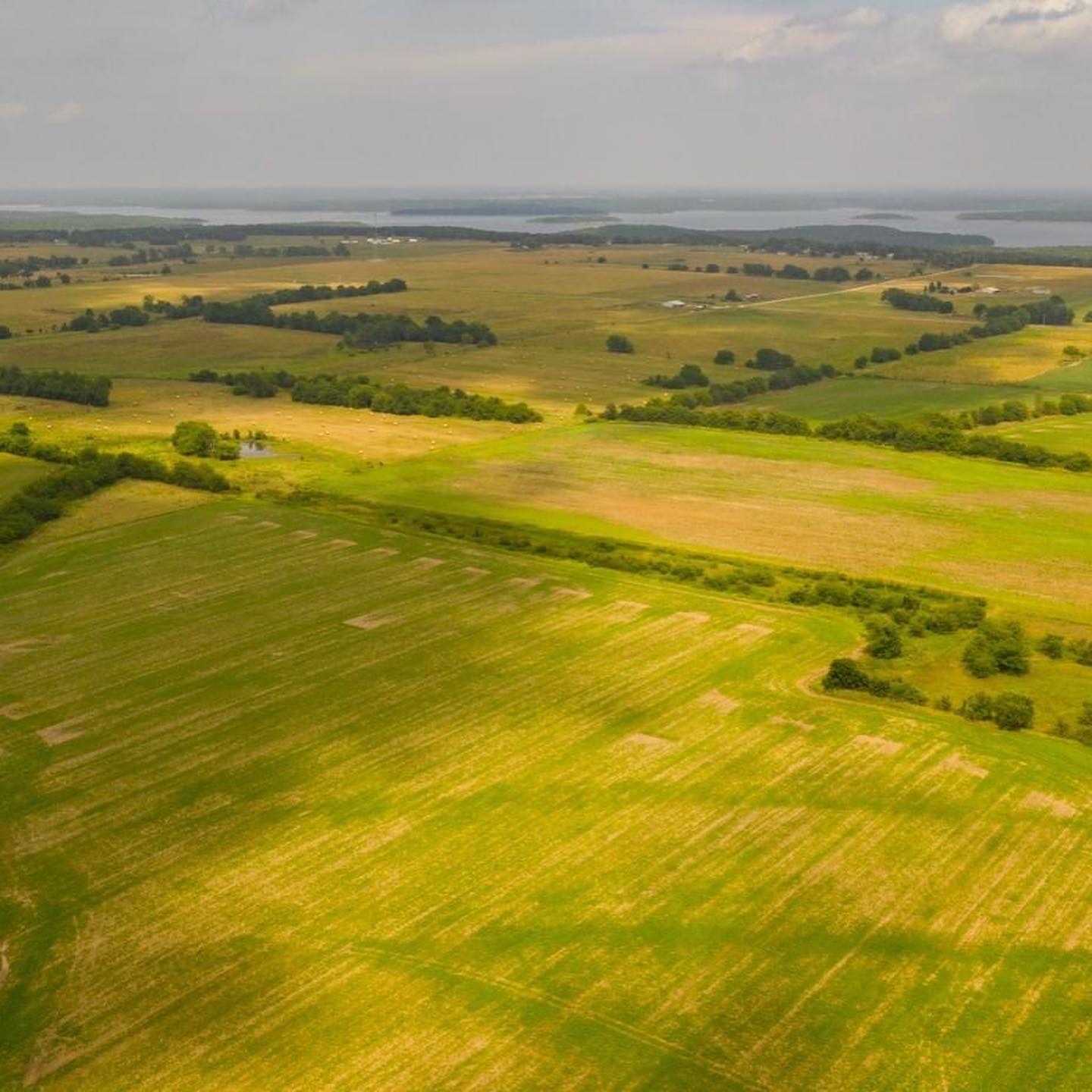 Overview of famous "Circle A Angus Ranch" in Stockton, Mo. The ranch is currently for sale by auction.