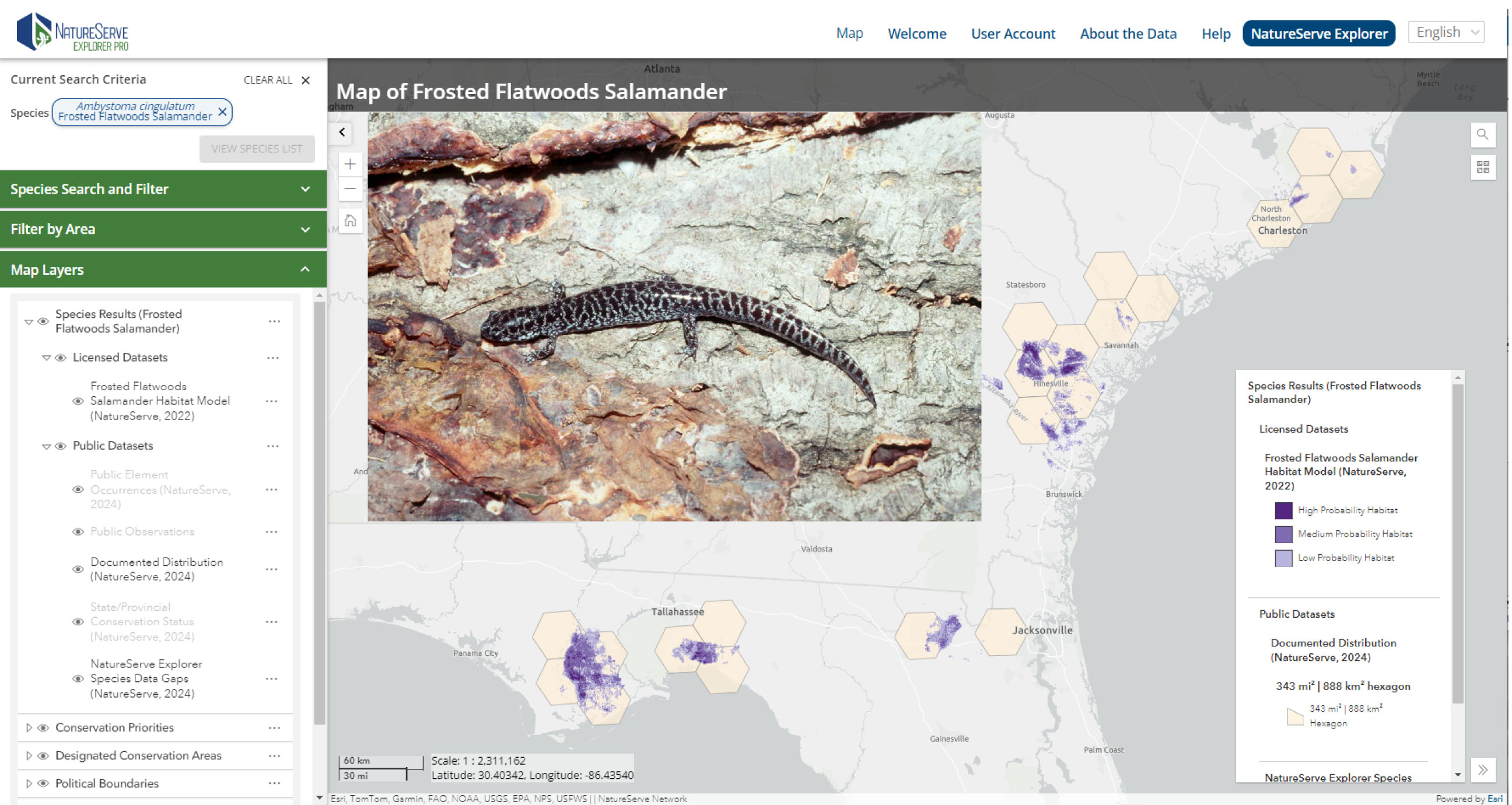 NatureServe Explorer Pro provides predictive habitat models for sensitive species like the Frosted Flatwoods Salamander. Inset photo by USGS.