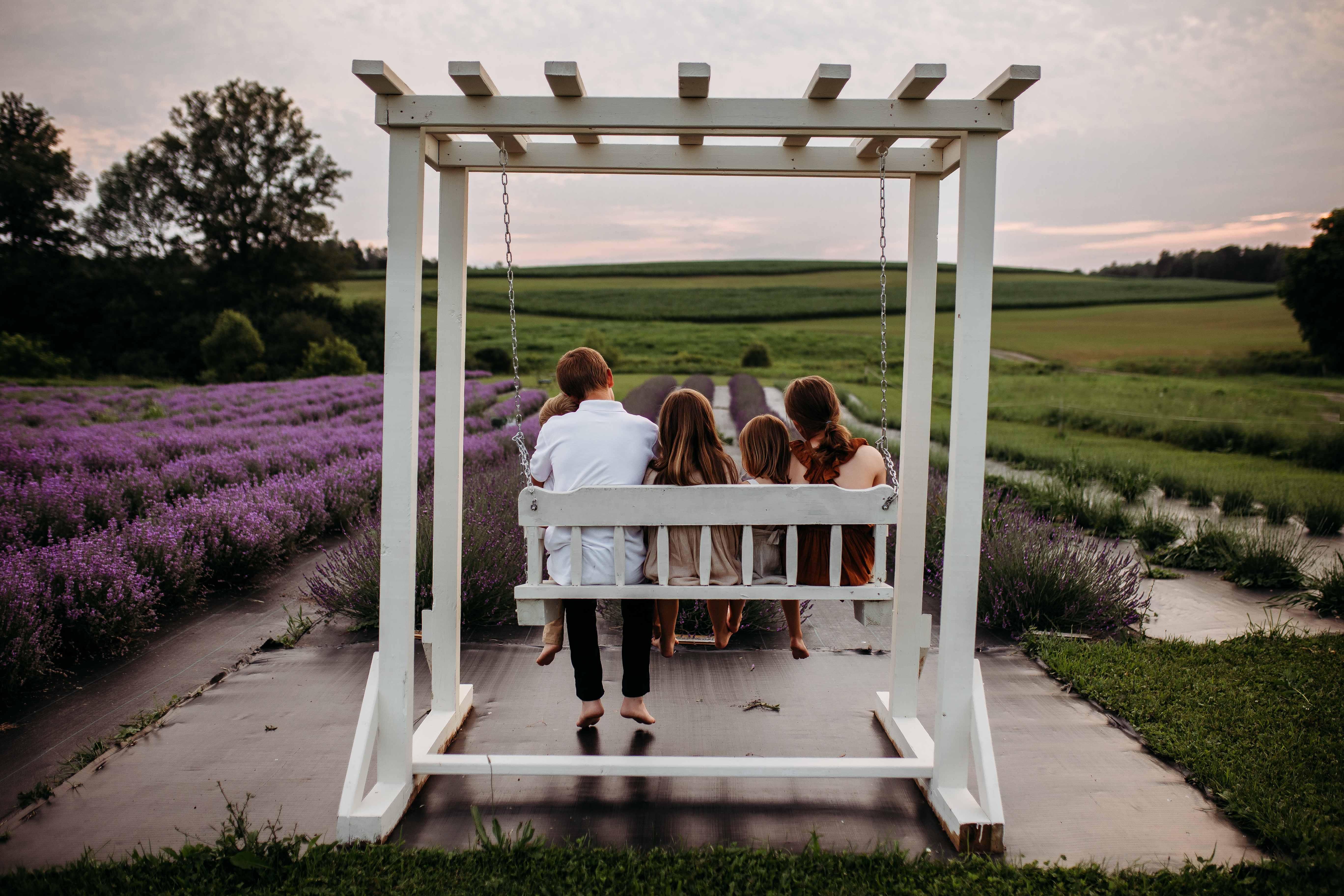 Farmstead 1868, Cody kids in front of lavender