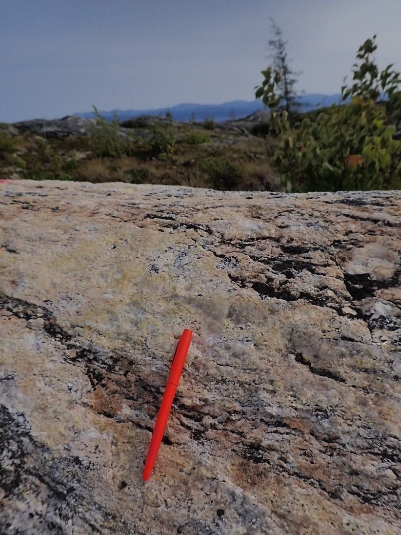 Close up of a highly strained granitic pegmatite showing an East-West foliation and biotite fabric containing significant uranophane mineralization located in the Katjuk (Arrow) Zone.