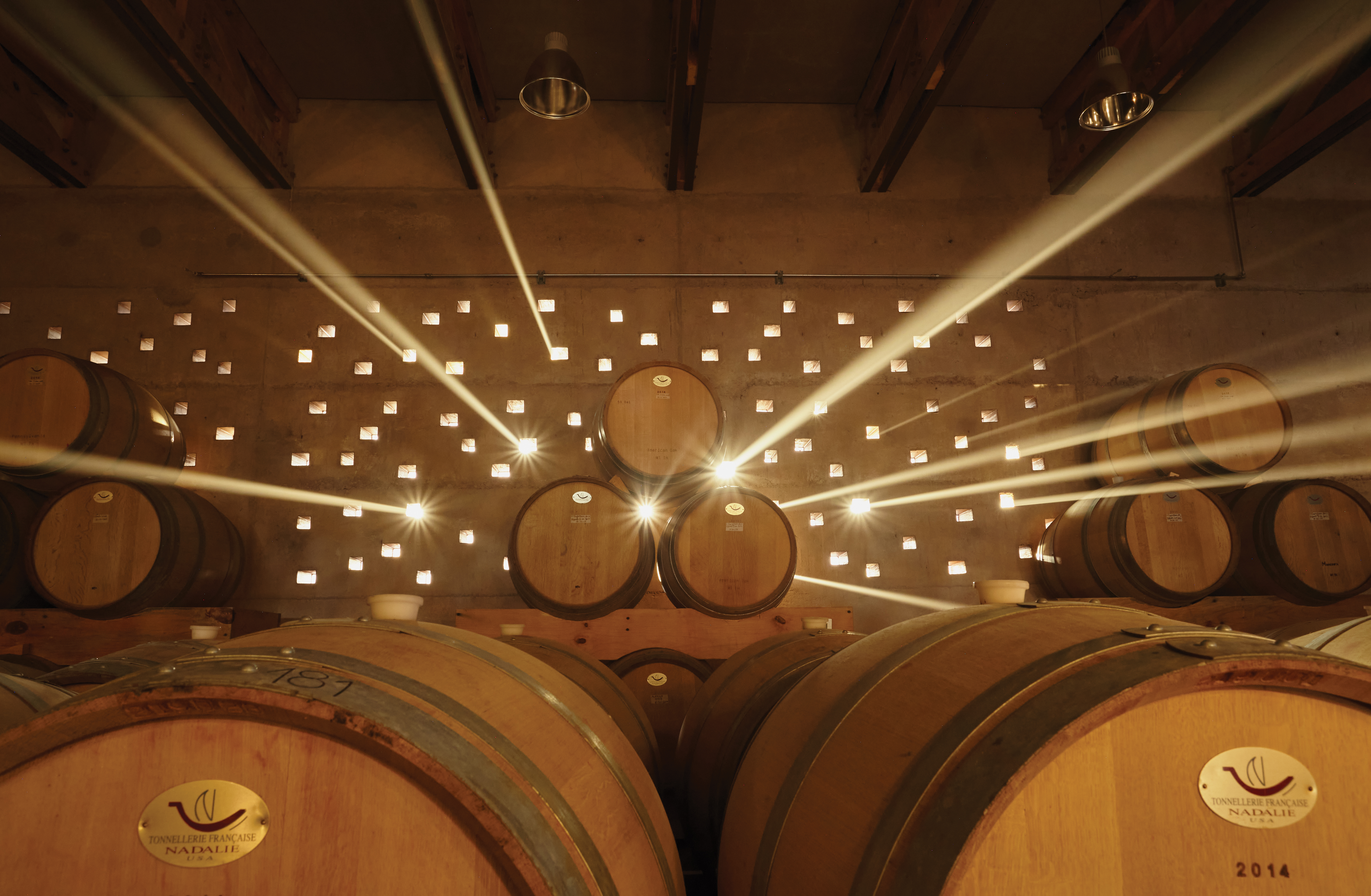 VINOS GUANAJUATO