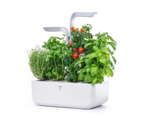 Véritable®’s unique technology lets consumers effortlessly grow aromatic herbs, edible flowers, greens, small fruits and vegetables directly in their kitchens.