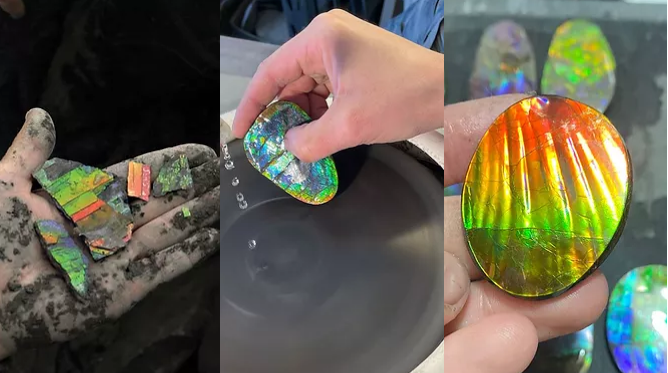 Ammolite Gems