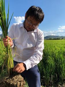 The Land Institute provides funding and scientific support to the perennial rice program Yunnan University in China, run by scientist Fengyi Hu.